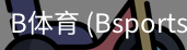 b体育